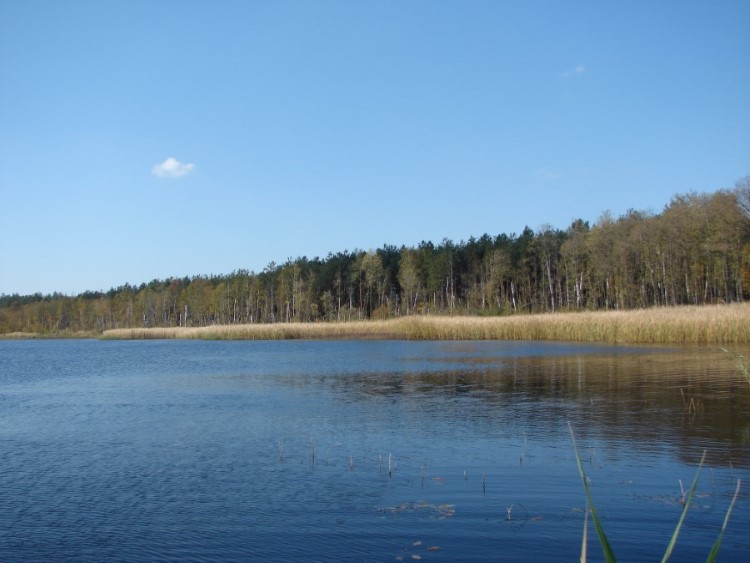 Jezioro Plotycze Sobiborskie pojezierze leczynsko Wlodawskie rezerwat przyrody Trzy jezior